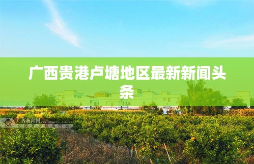 广西贵港卢塘地区最新新闻头条