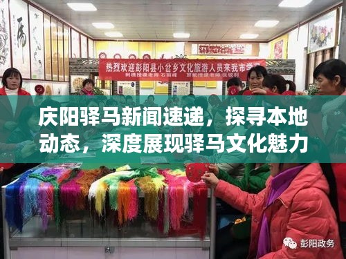 庆阳驿马新闻速递，探寻本地动态，深度展现驿马文化魅力
