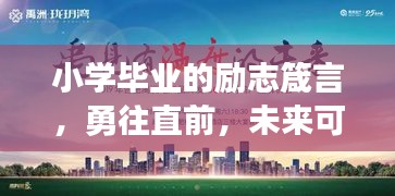 网站案例 第100页