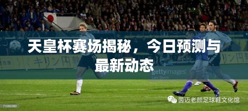 天皇杯赛场揭秘，今日预测与最新动态
