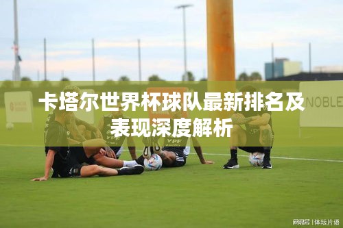 卡塔尔世界杯球队最新排名及表现深度解析