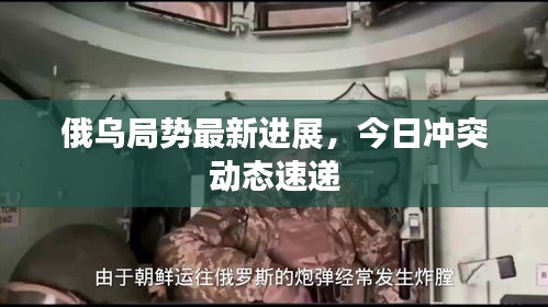 俄乌局势最新进展，今日冲突动态速递