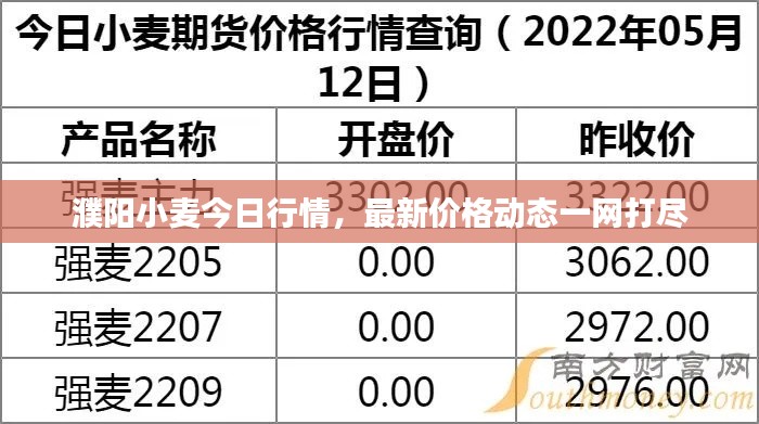 濮阳小麦今日行情，最新价格动态一网打尽