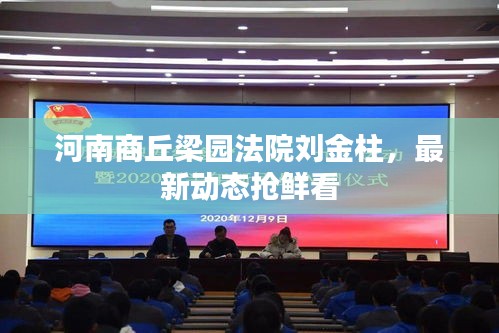 河南商丘梁园法院刘金柱，最新动态抢鲜看