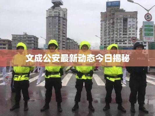 文成公安最新动态今日揭秘