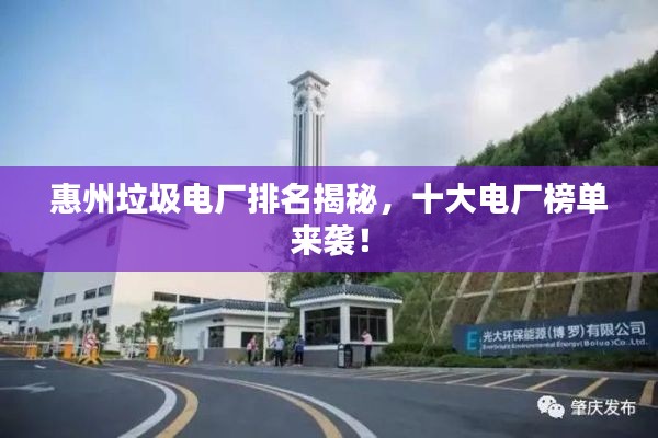 百鸟朝凤 第2页