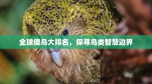 学贯中西 第2页