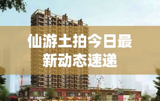 仙游土拍今日最新动态速递