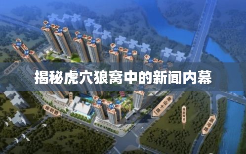 揭秘虎穴狼窝中的新闻内幕