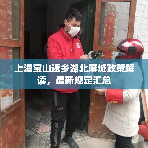 上海宝山返乡湖北麻城政策解读，最新规定汇总