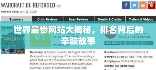 世界最惨网站大揭秘，排名背后的辛酸故事