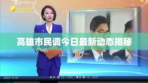高雄市民调今日最新动态揭秘