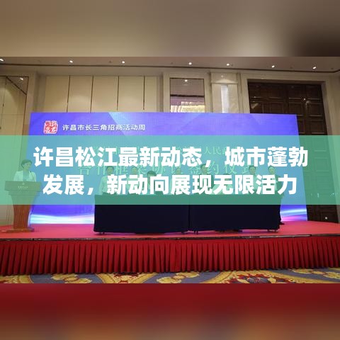 许昌松江最新动态，城市蓬勃发展，新动向展现无限活力