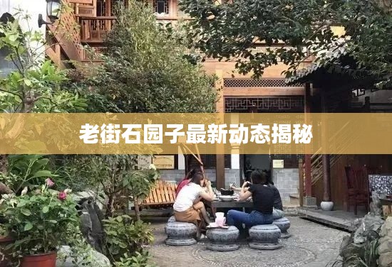 老街石园子最新动态揭秘