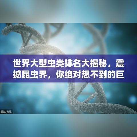 世界大型虫类排名大揭秘，震撼昆虫界，你绝对想不到的巨兽榜单！