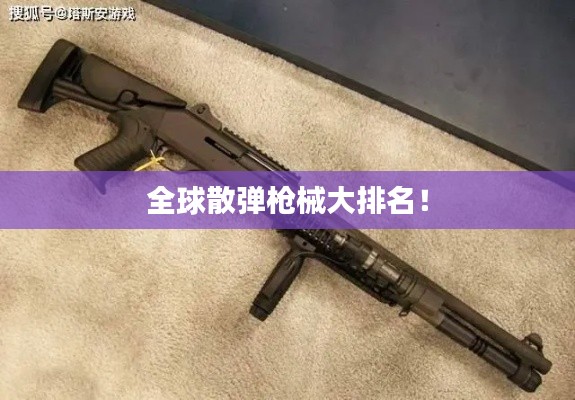 全球散弹枪械大排名！