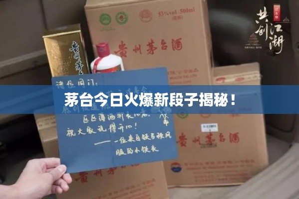 茅台今日火爆新段子揭秘！