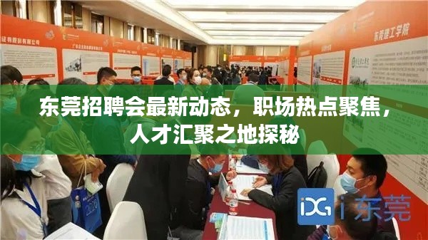 东莞招聘会最新动态，职场热点聚焦，人才汇聚之地探秘