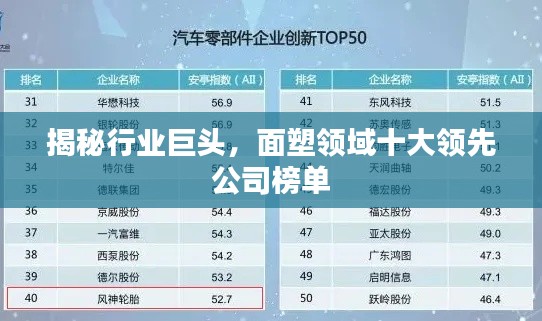 揭秘行业巨头，面塑领域十大领先公司榜单