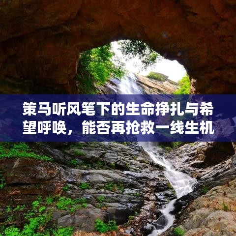独学寡闻 第2页
