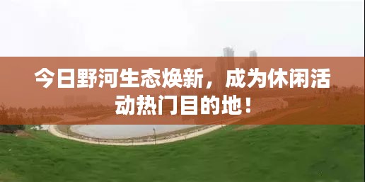 今日野河生态焕新，成为休闲活动热门目的地！
