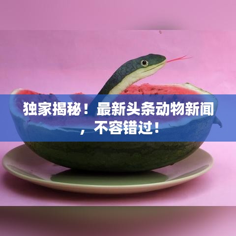 独家揭秘！最新头条动物新闻，不容错过！