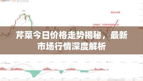 芹菜今日价格走势揭秘，最新市场行情深度解析