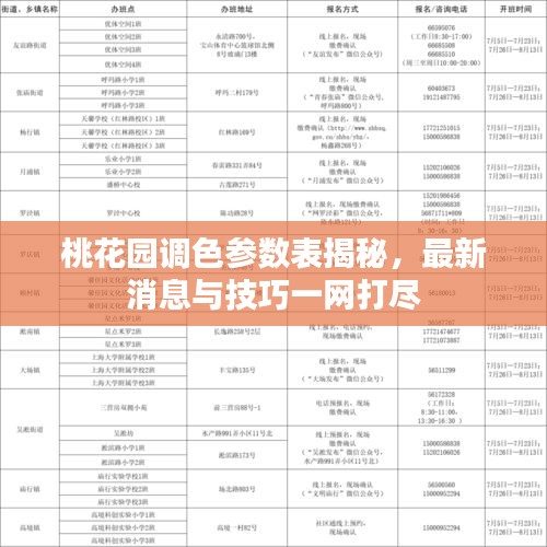 桃花园调色参数表揭秘，最新消息与技巧一网打尽