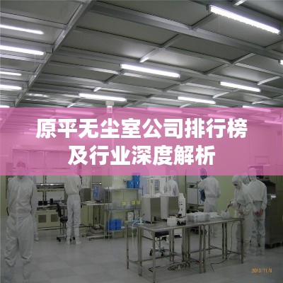 原平无尘室公司排行榜及行业深度解析