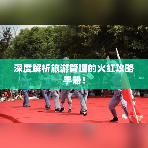 深度解析旅游管理的火红攻略手册！