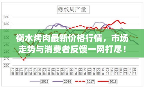 衡水烤肉最新价格行情，市场走势与消费者反馈一网打尽！