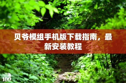 贝爷模组手机版下载指南，最新安装教程
