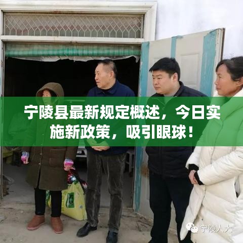 宁陵县最新规定概述，今日实施新政策，吸引眼球！