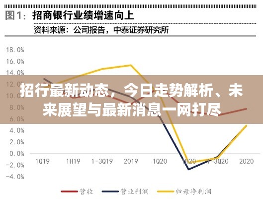 招行最新动态，今日走势解析、未来展望与最新消息一网打尽