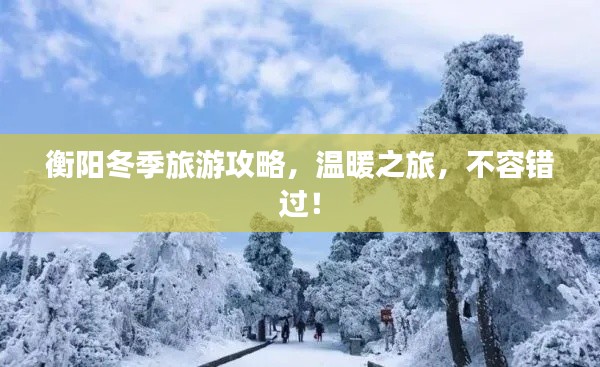 衡阳冬季旅游攻略，温暖之旅，不容错过！