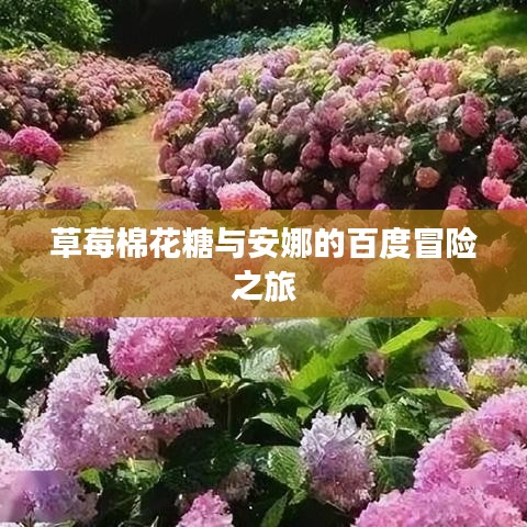 草莓棉花糖与安娜的百度冒险之旅
