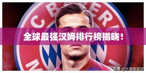 全球最强汉姆排行榜揭晓！
