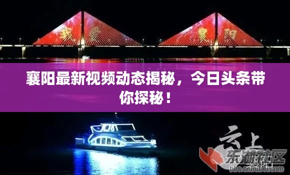 襄阳最新视频动态揭秘，今日头条带你探秘！