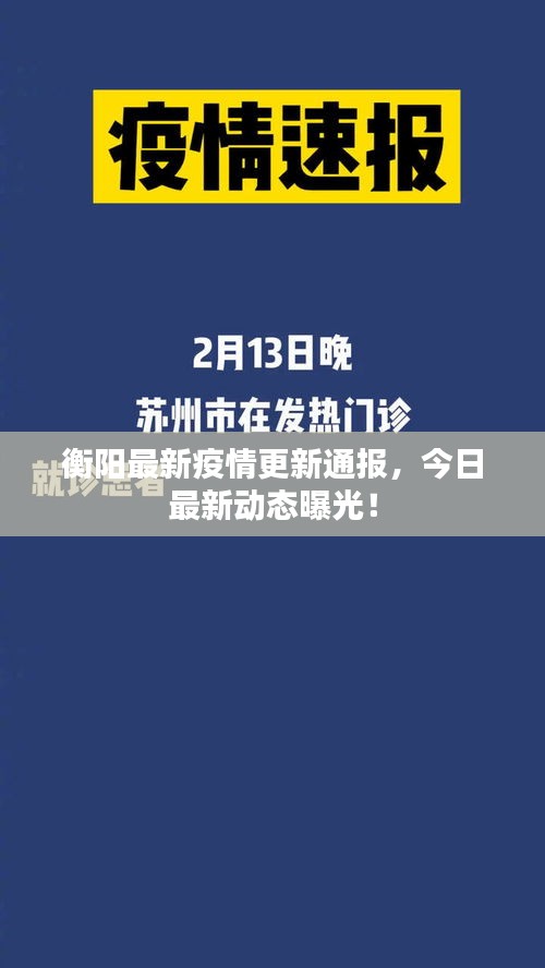 衡阳最新疫情更新通报，今日最新动态曝光！