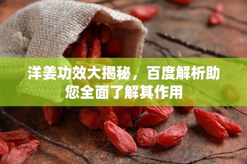 洋姜功效大揭秘，百度解析助您全面了解其作用