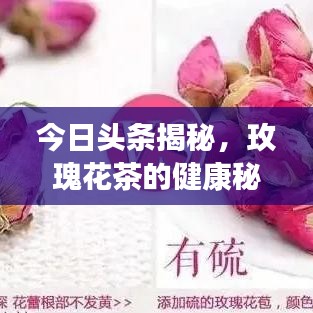 今日头条揭秘，玫瑰花茶的健康秘密与独特魅力