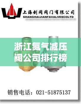 浙江氮气减压阀公司排行榜揭晓，行业领军者榜单！