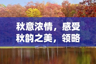 秋意浓情，感受秋韵之美，领略图片中的节日情怀