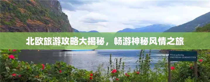 梨花带雨 第2页
