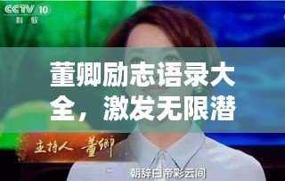 董卿励志语录大全，激发无限潜能的力量之源