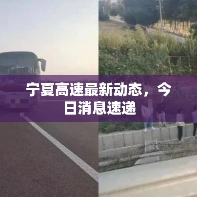 漫天飞舞 第2页