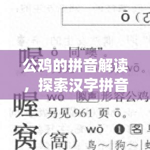 公鸡的拼音解读，探索汉字拼音的奥秘与魅力
