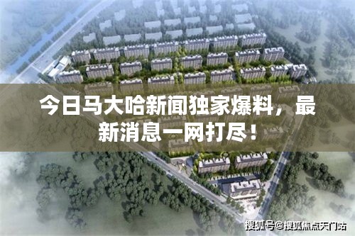 今日马大哈新闻独家爆料，最新消息一网打尽！