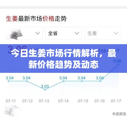 今日生姜市场行情解析，最新价格趋势及动态