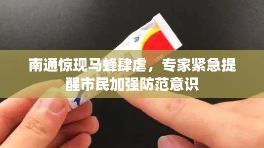南通惊现马蜂肆虐，专家紧急提醒市民加强防范意识